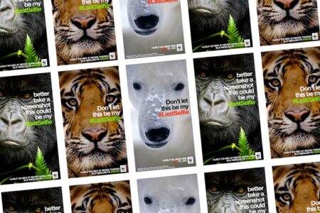 wwf last selfie digital marketing campaign