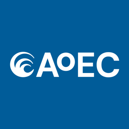 Academy of Executive Coaching (AoEC) logo