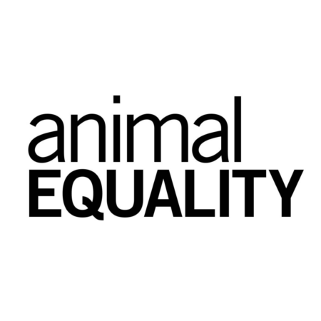 Animal Equality logo