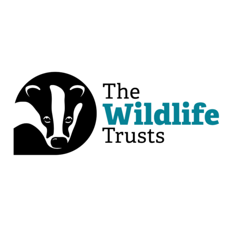The Wildlife Trusts logo